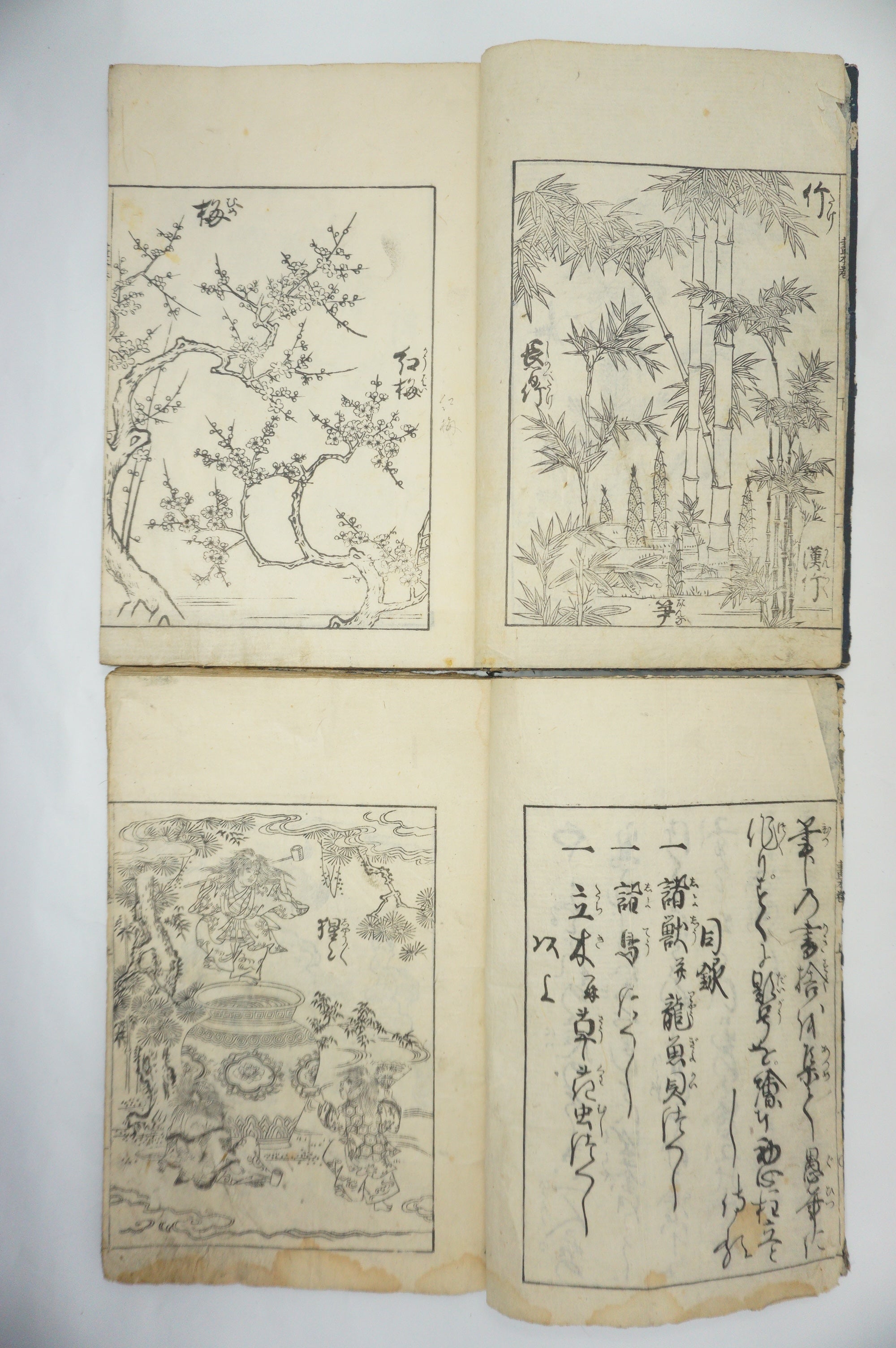 Japanisches Buchset von Tachibana Morikuni -Naturgeschichte- 1794 Antike Originale aus Japan 1127E4 