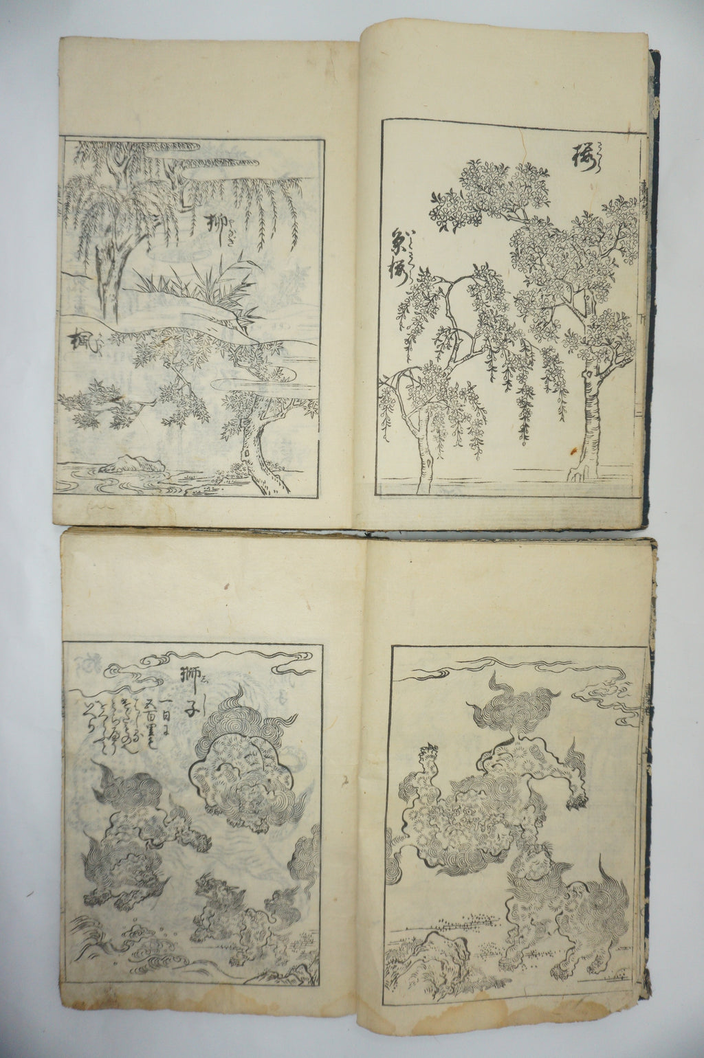 Japanisches Buchset von Tachibana Morikuni -Naturgeschichte- 1794 Antike Originale aus Japan 1127E4 