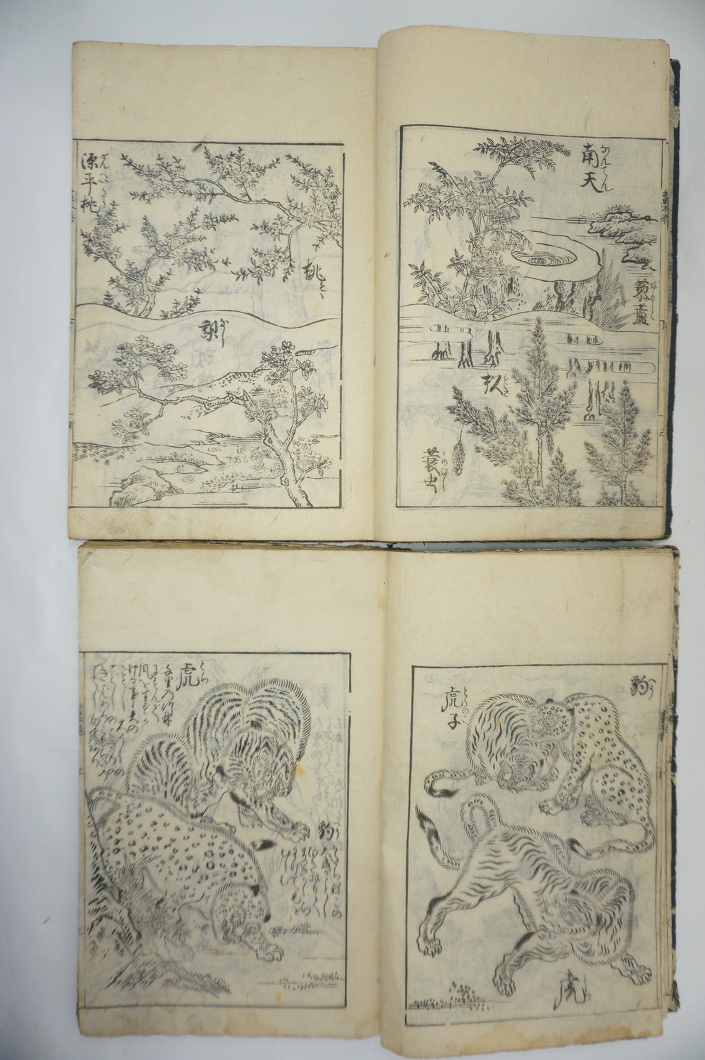 Japanisches Buchset von Tachibana Morikuni -Naturgeschichte- 1794 Antike Originale aus Japan 1127E4 