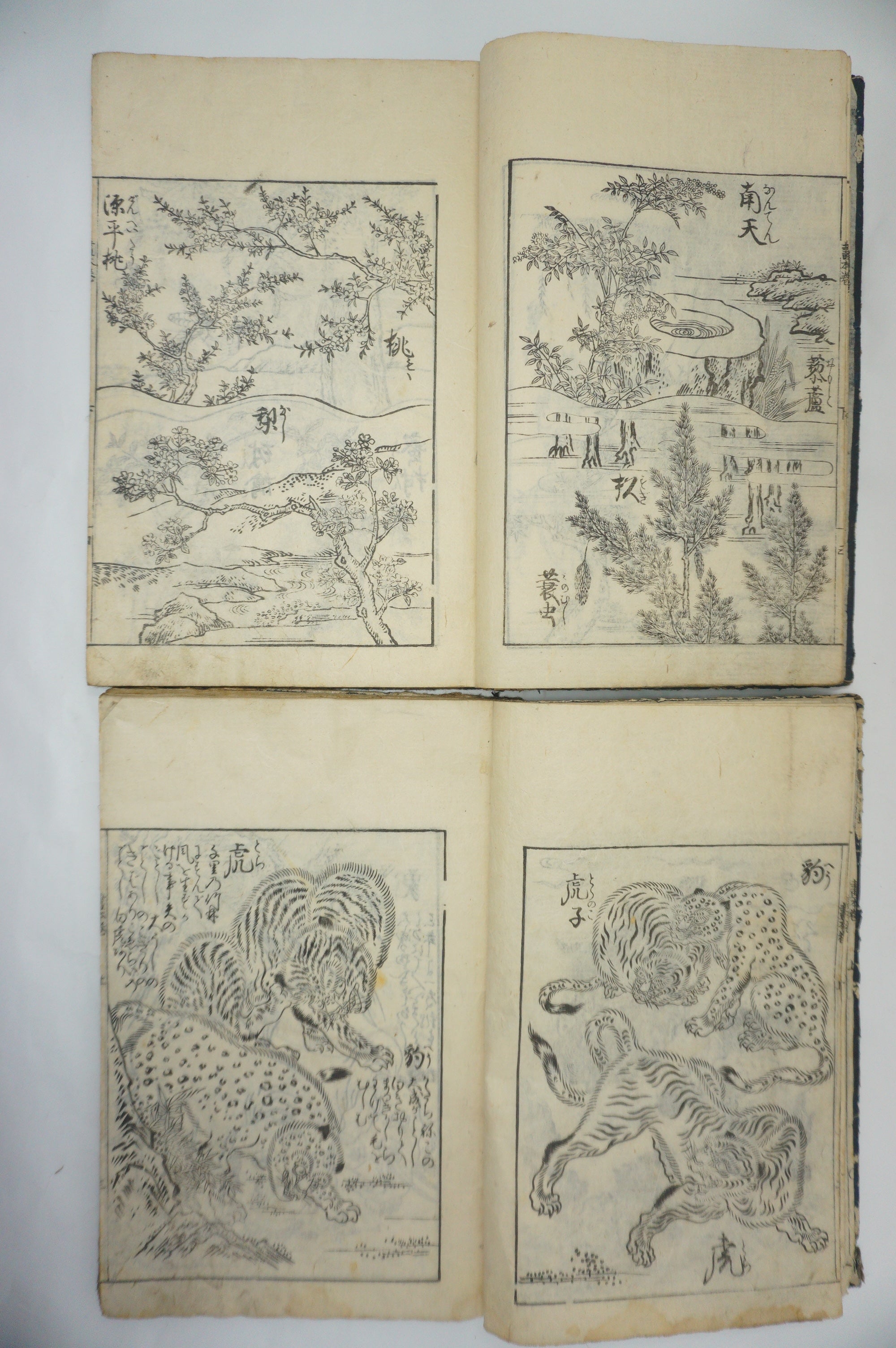 Japanisches Buchset von Tachibana Morikuni -Naturgeschichte- 1794 Antike Originale aus Japan 1127E4 
