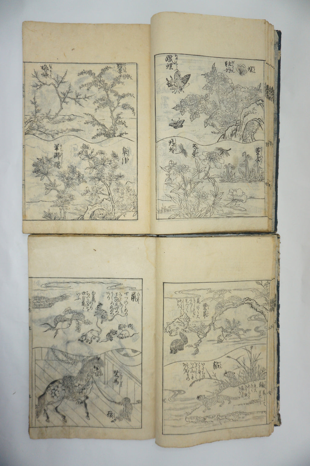 Japanisches Buchset von Tachibana Morikuni -Naturgeschichte- 1794 Antike Originale aus Japan 1127E4 