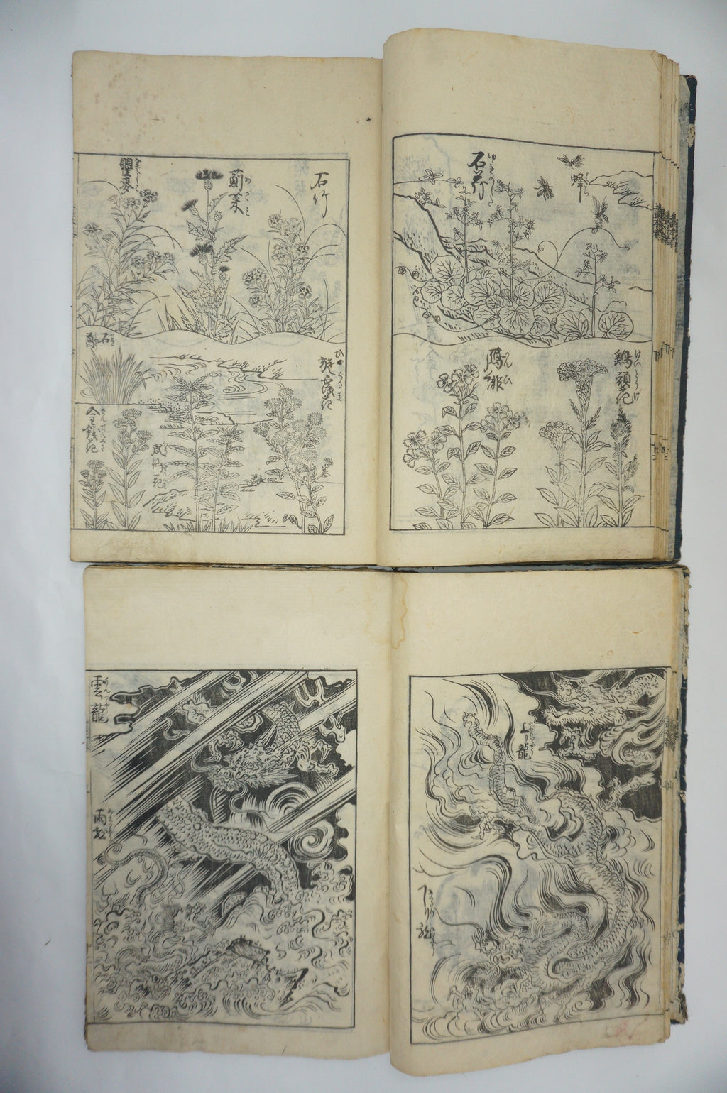 Japanisches Buchset von Tachibana Morikuni -Naturgeschichte- 1794 Antike Originale aus Japan 1127E4 