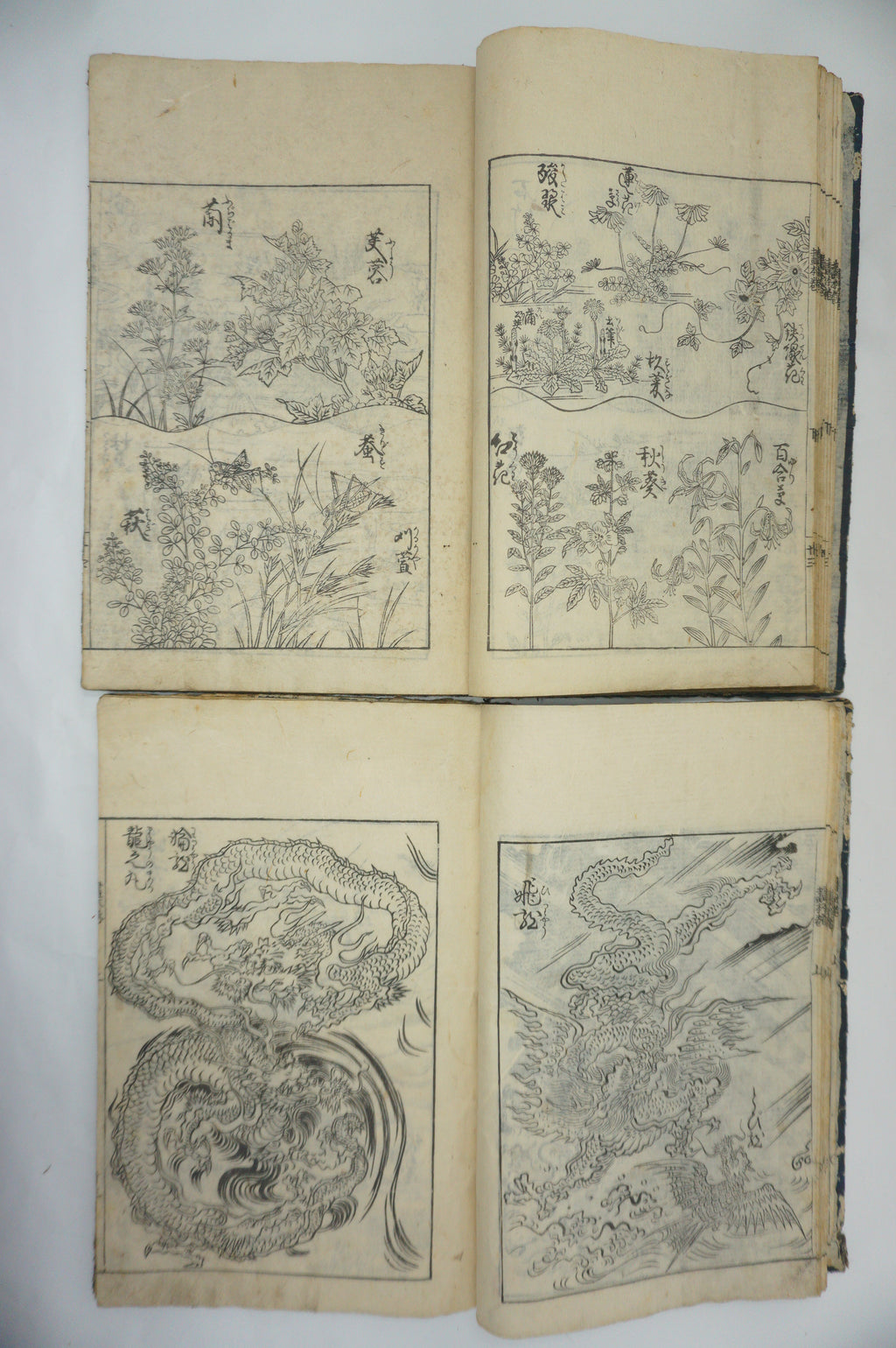 Japanisches Buchset von Tachibana Morikuni -Naturgeschichte- 1794 Antike Originale aus Japan 1127E4 