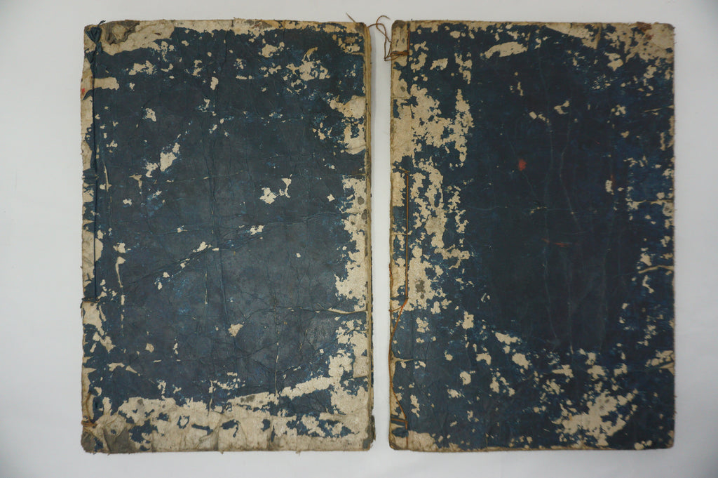 Japanisches Buchset von Tachibana Morikuni -Naturgeschichte- 1794 Antike Originale aus Japan 1127E4 
