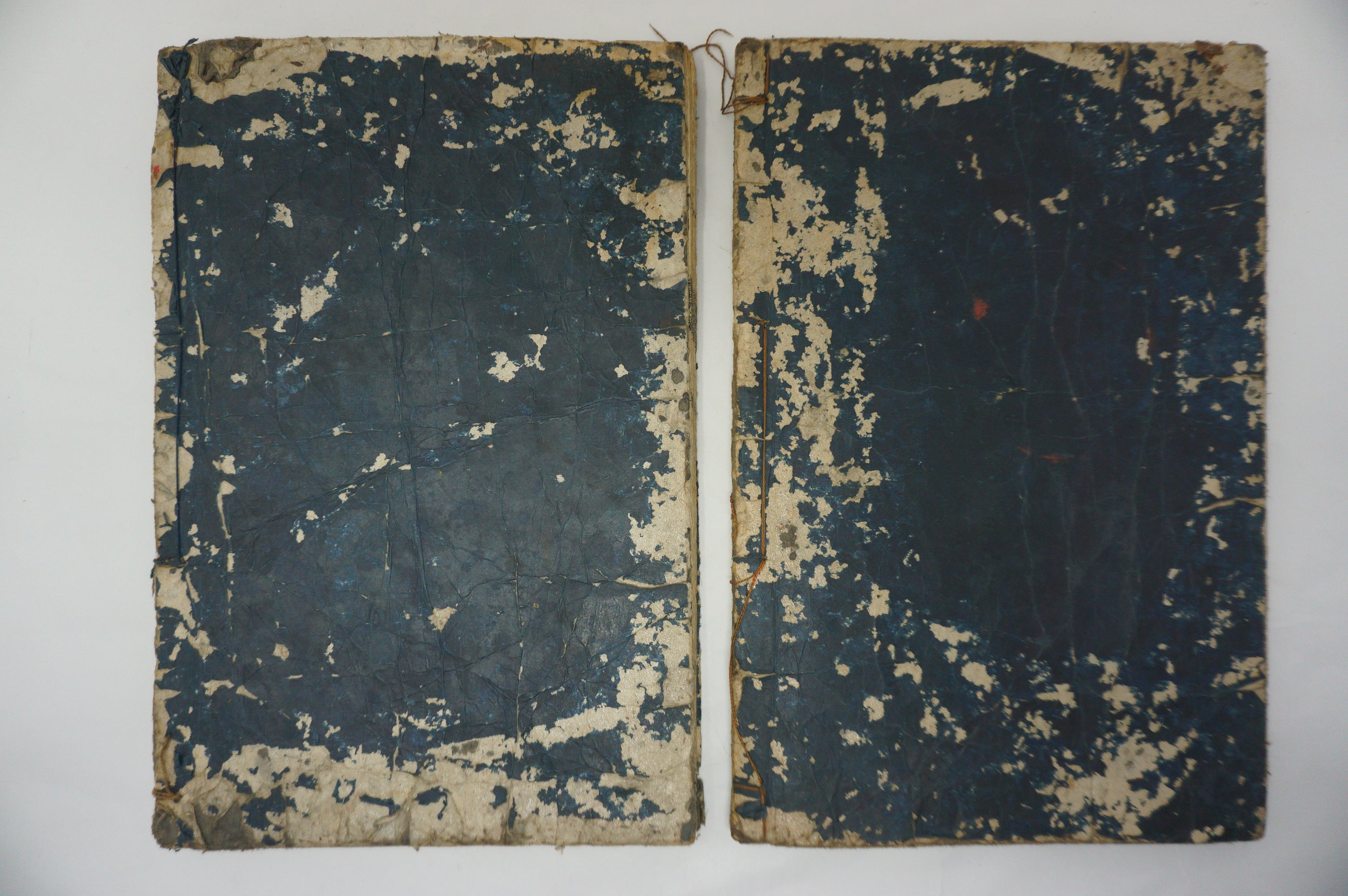 Japanisches Buchset von Tachibana Morikuni -Naturgeschichte- 1794 Antike Originale aus Japan 1127E4 