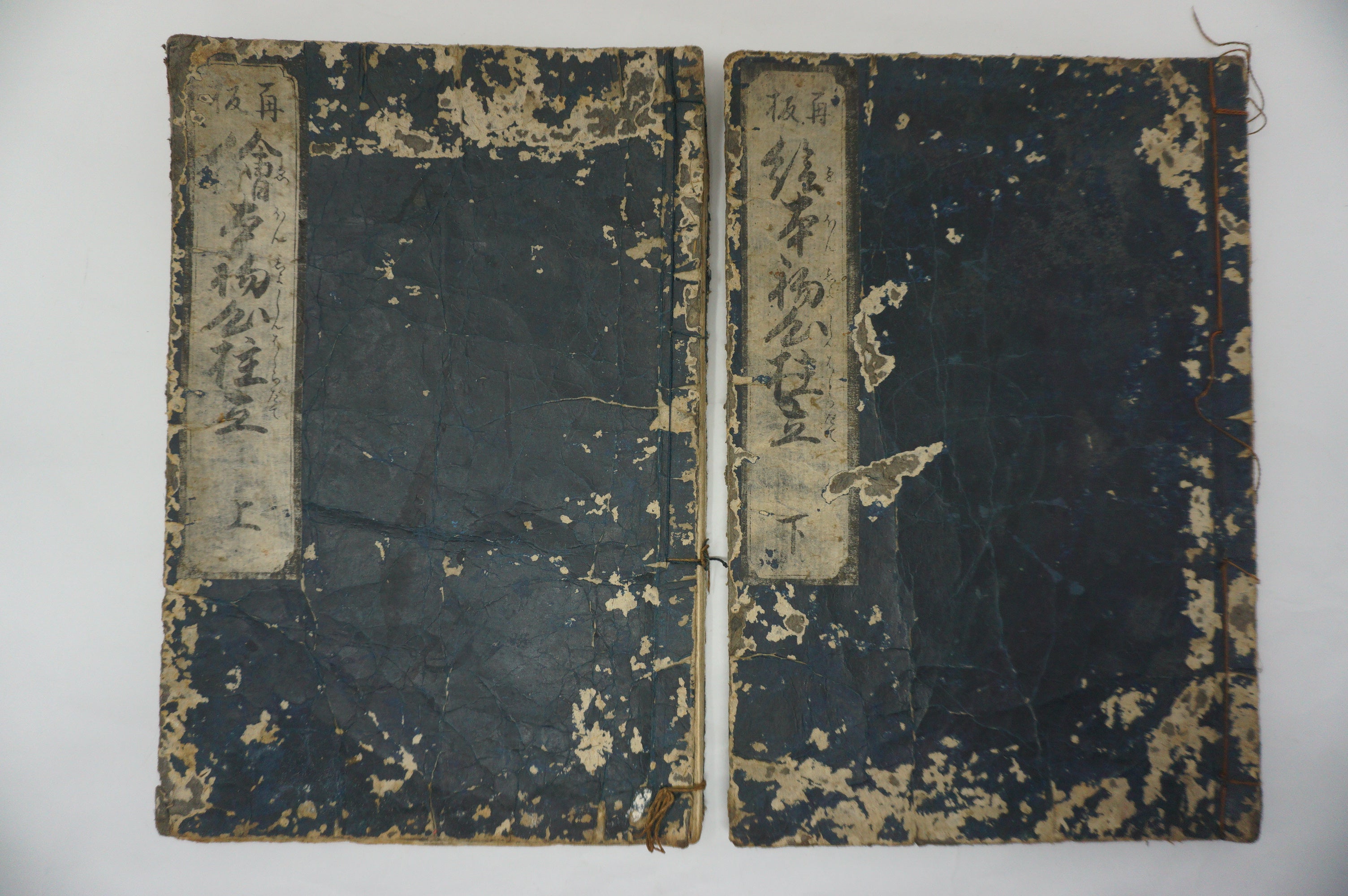 Japanisches Buchset von Tachibana Morikuni -Naturgeschichte- 1794 Antike Originale aus Japan 1127E4 