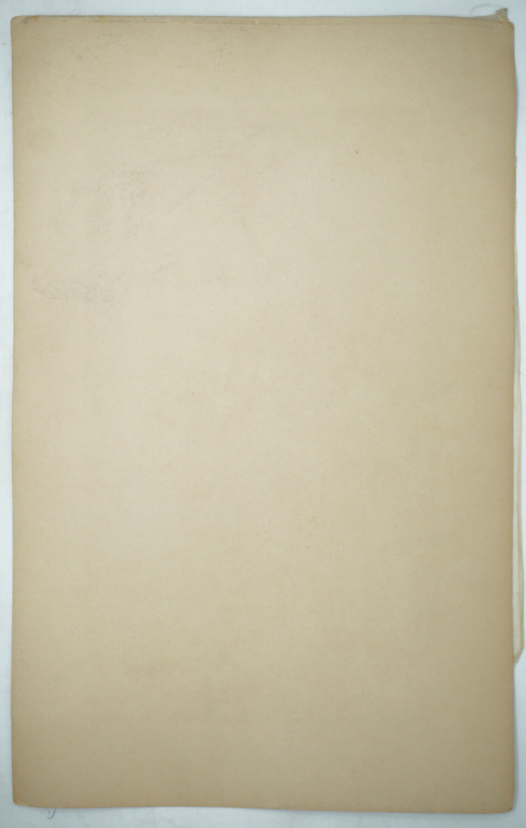 High Quality Binjinga Woodblockprint by Ishikawa Shinobu Vintage Recarved Edition 0622D4