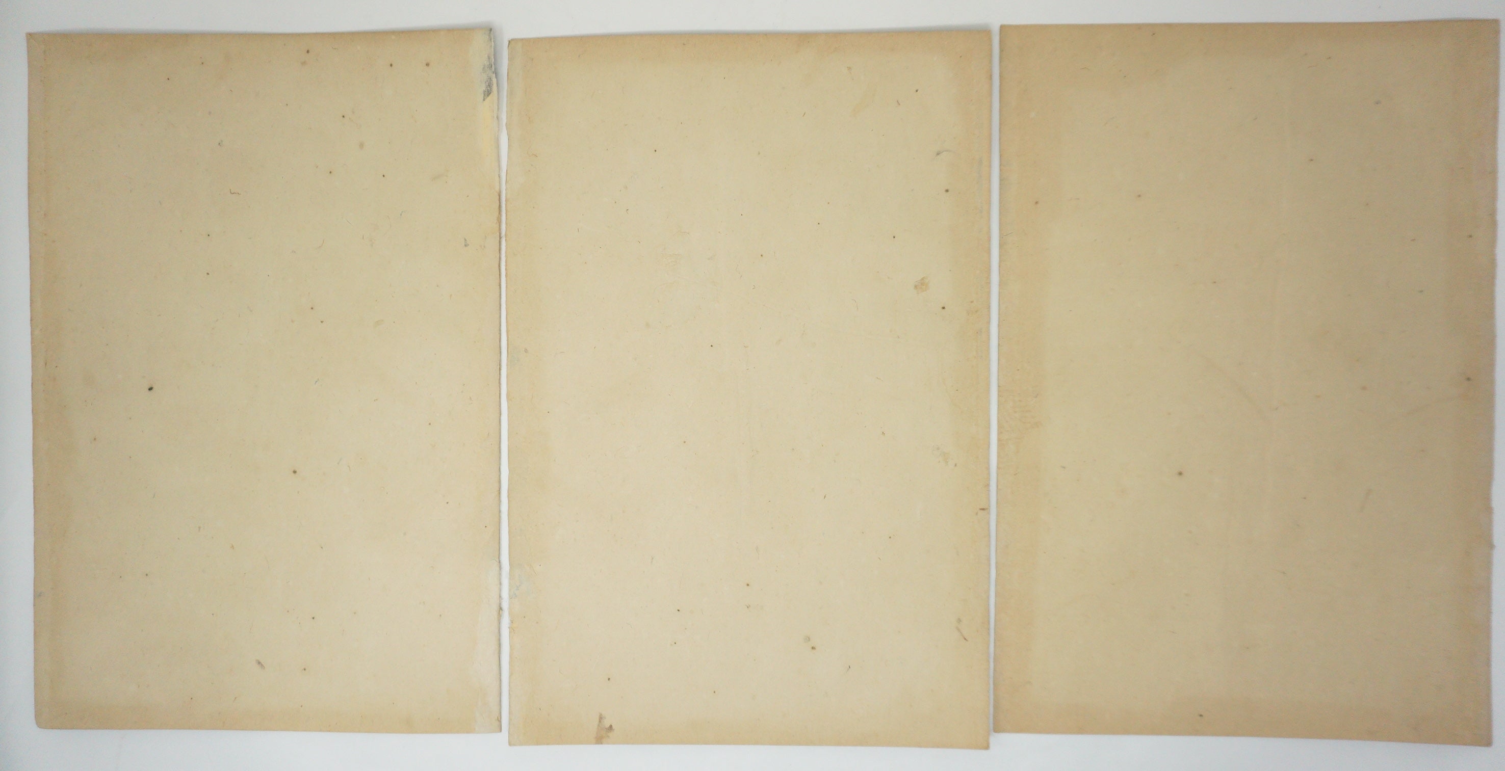 Japanese Woodblock Print 1893 by Toyohara Kunichika -Miraculous Manifestation of Fudo- 1210F6