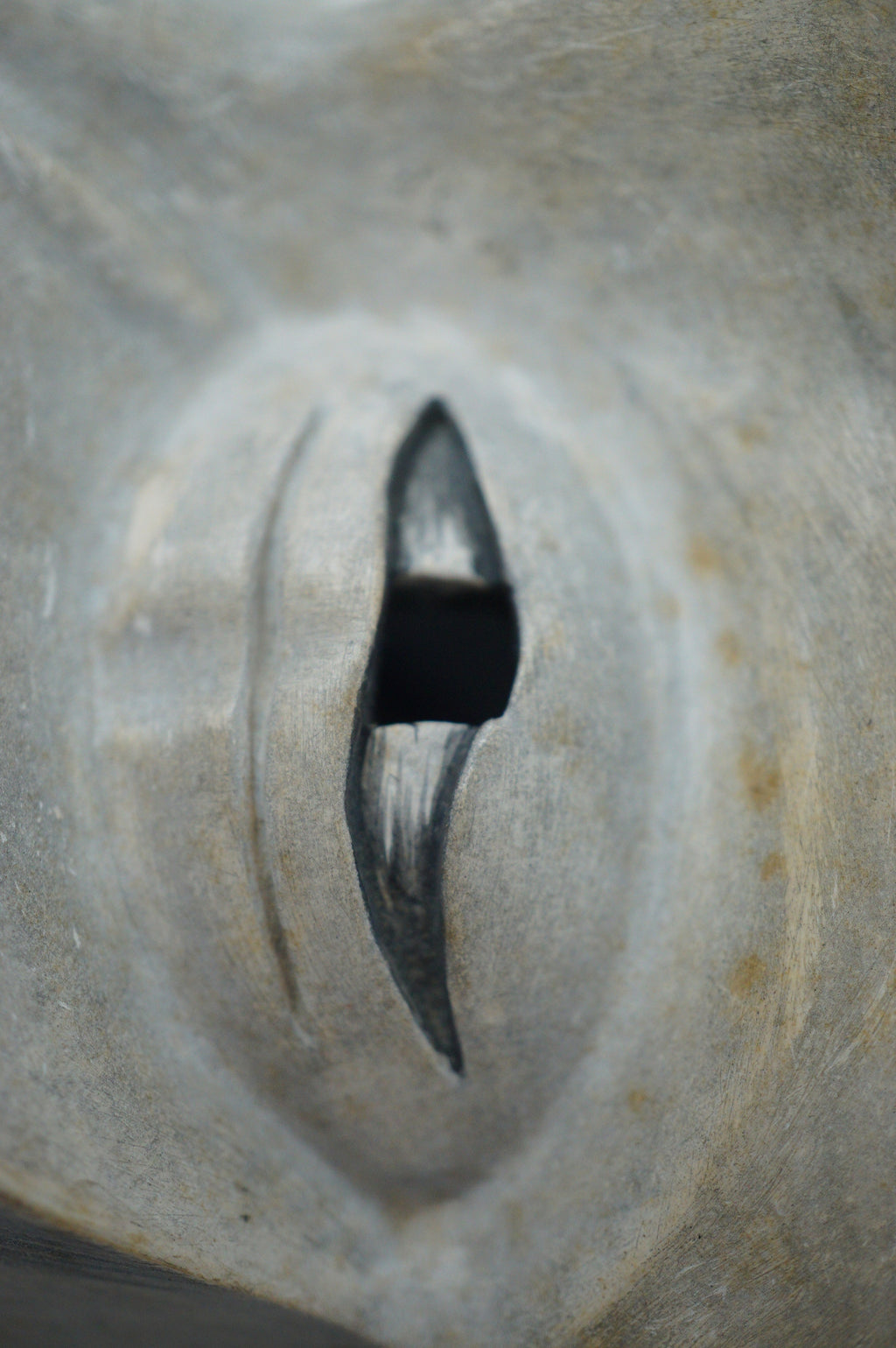 Japanese Yase Otoko Noh Theater Wooden Mask Finely Carved Original from Japan 1227F7