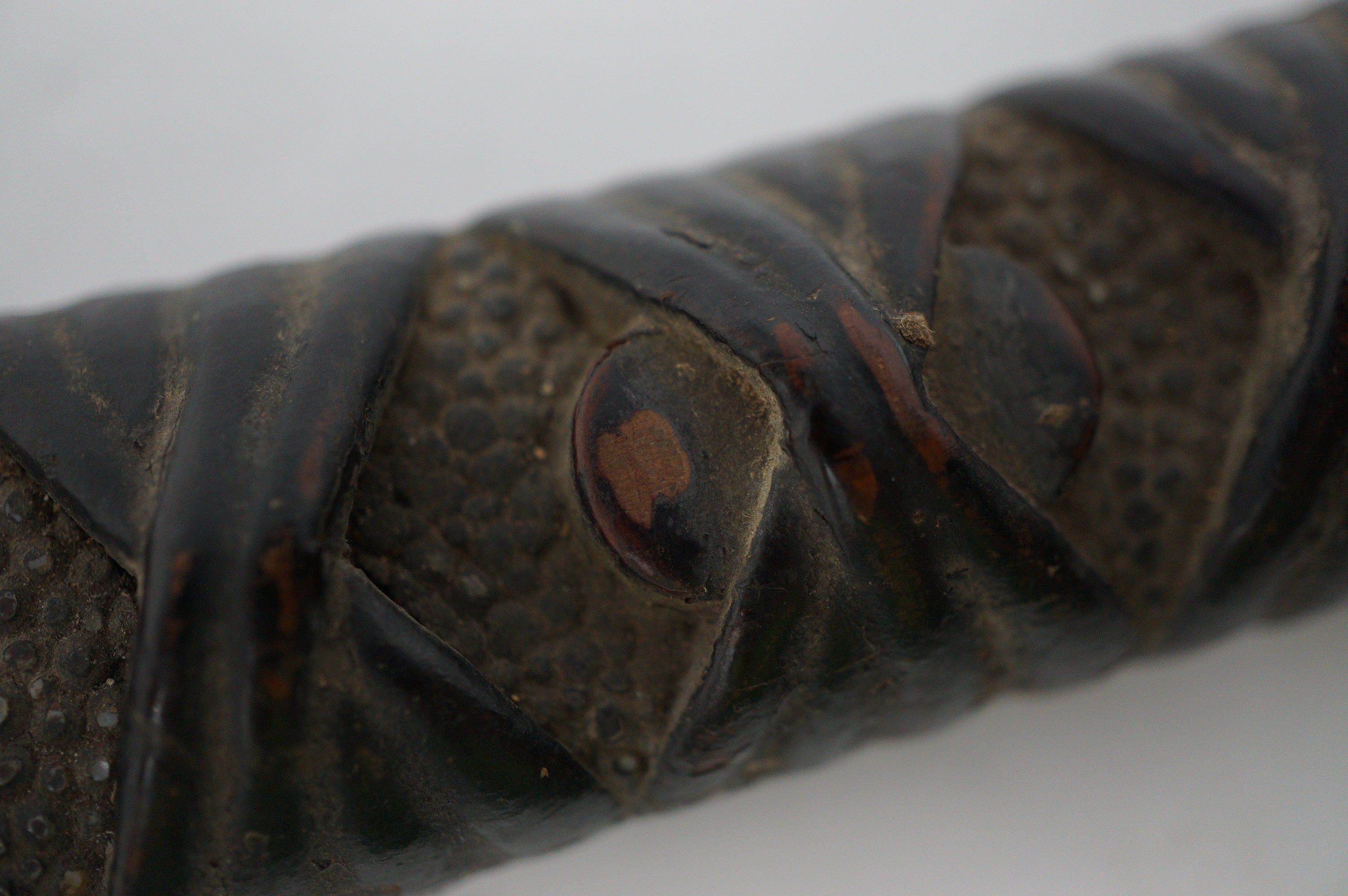 Japanese Tea-Sword Wooden Chato Chagatana Unique Antique Original from Japan 0619E9